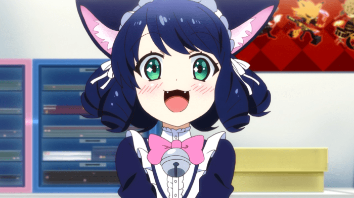 Doesn't matter; had cats.