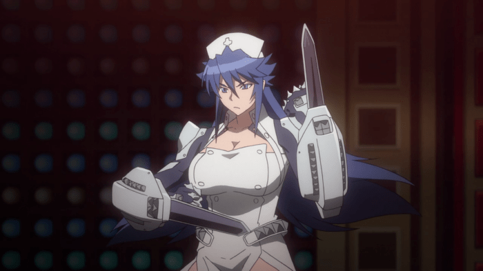 Triage X might have a worse plot than RoboGeisha because RoboGeisha did, in fact, have a plot.